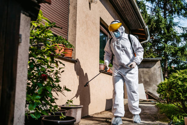 Best Commercial Pest Control Services  in Waterflow, NM