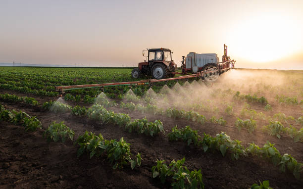 Best Cockroach Control Services  in Waterflow, NM