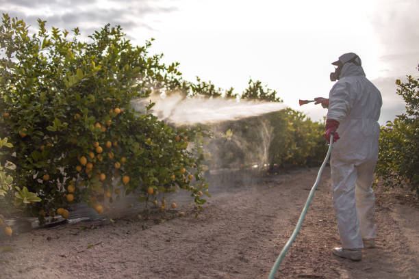 Best Bird Control  in Waterflow, NM