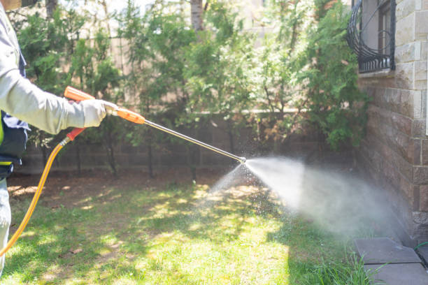 Trusted Waterflow, NM Pest Control Experts