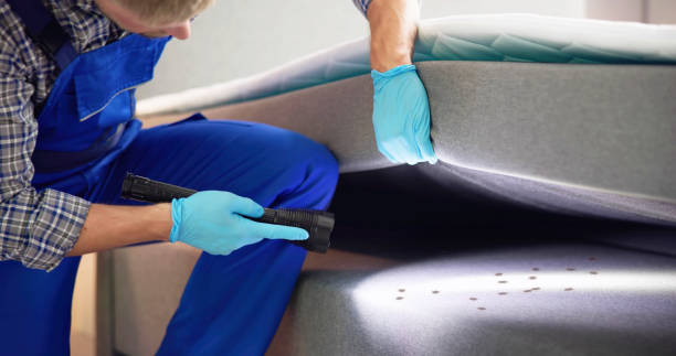 Best Emergency Pest Control  in Waterflow, NM