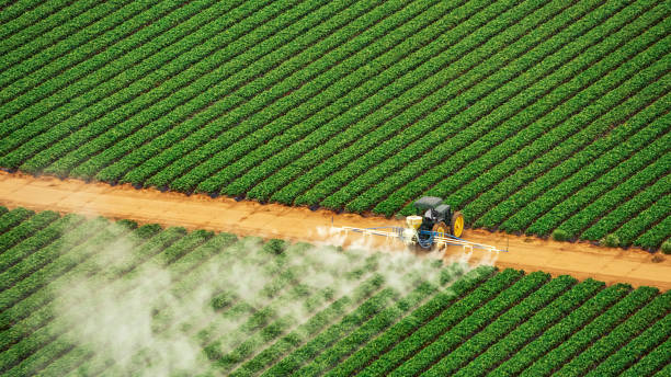 Reliable Waterflow, NM Pest Control Solutions