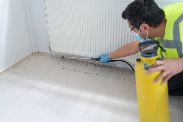 Best Commercial Pest Control Services  in Waterflow, NM
