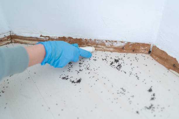 Best Pest Removal Services  in Waterflow, NM